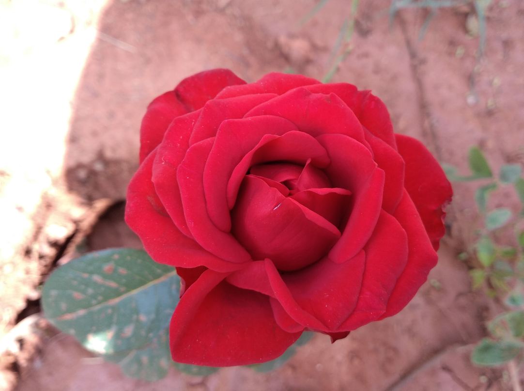 Infinix, Hot S3X, review, India launch, price, specs