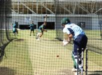 David Warner
