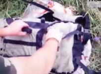 New footage emerges of direct aftermath of MH17 crash