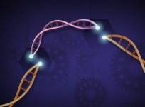 CRISPR-Cas9
