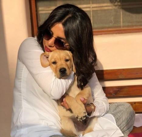 Priyanka Chopra with her dog. Priyanka Chopra with her dog