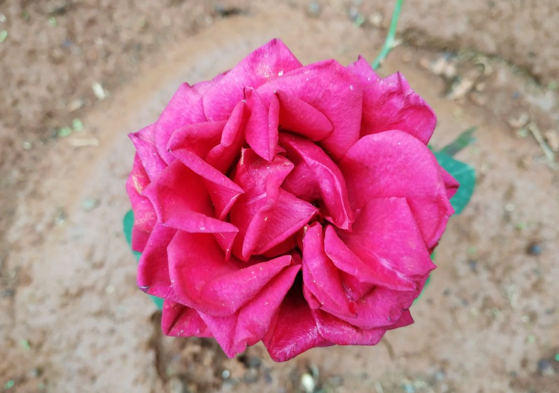 Xiaomi Redmi Note 6 Pro camera sample taken in the evening. Xiaomi, Redmi Note 6 Pro, review, India, launch, price, specs