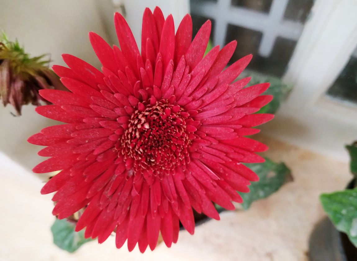 Xiaomi Redmi Note 6 Pro camera sample taken in the morning. Xiaomi, Redmi Note 6 Pro, review, India, launch, price, specs
