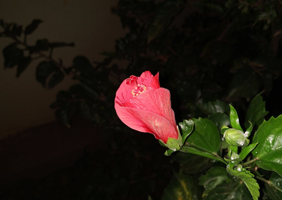 Xiaomi Redmi Note 6 Pro camera sample taken in the night with LED flash light support. Xiaomi, Redmi Note 6 Pro, review, India, launch, price, specs