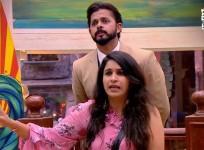 Sreesanth, Surbhi Rana
