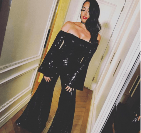 Nikki Bella is single Nikki Bella