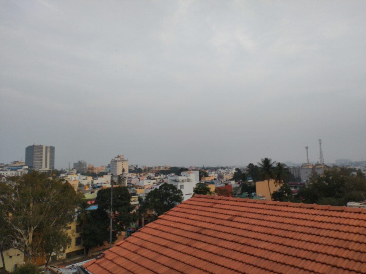 Honor 8C camera samples