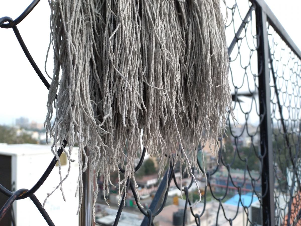 Honor 8C portrait mode camera sample