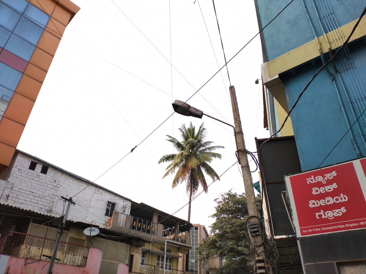 Honor 8C camera sample