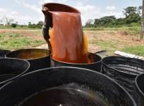 A woman pours a container of palm oil into a barrel at an artisinal workshop on March 7, 2017 in Divo