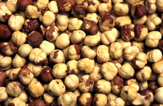 Hazelnuts Hazelnuts
