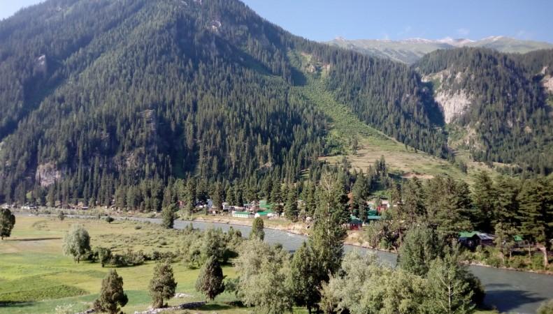 Forests in Gurez, Kashmir Forests in Gurez, Kashmir