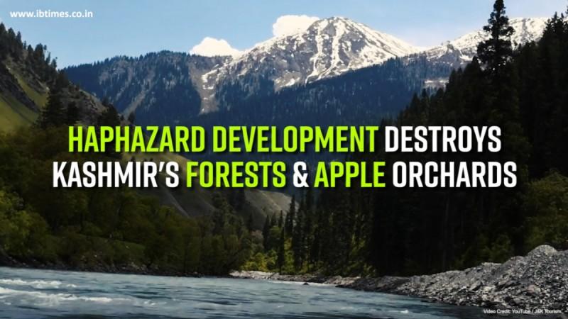 Haphazard development destroys Kashmir's forests and apple orchards