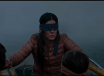 birdbox