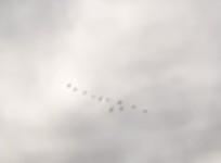 UFO Portland