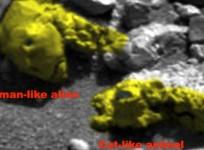 alien fossil