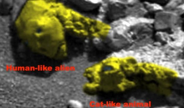 alien fossil