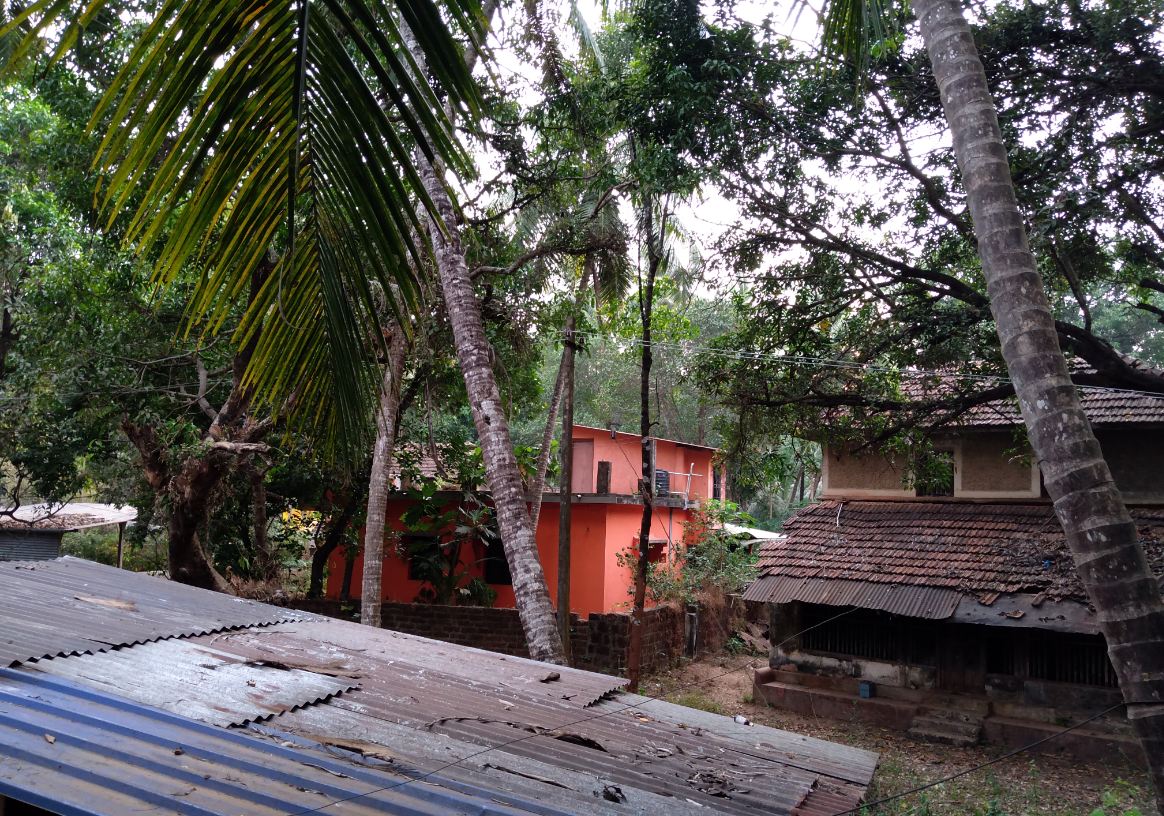 Asus Zenfone Max M2 primary camera sample shot taken in the evening. Asus, Zenfone Max M2, review, camera, images, India, launch,price