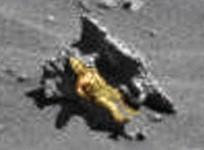 alien fossil mars