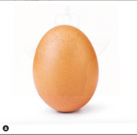 world_record-egg world_record-egg