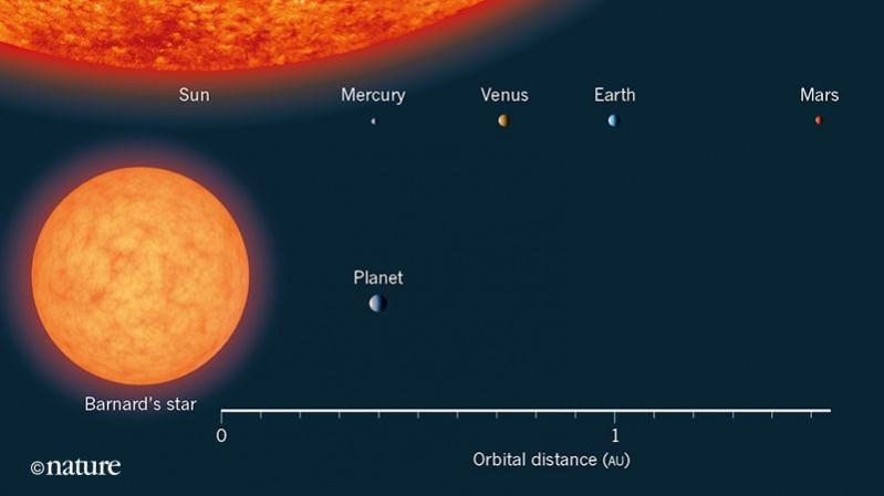 A planet was found around Barnard's star, a nearby star. Shown here is the orbital distance of the planet, compared with those of the four inner planets of the Solar System. The distances are given in astronomical units (1 AU is the average separation between Earth and the Sun). The discovered planet is on a relatively wide orbit. The sizes of all the objects are approximately to scale. (Nature) bernard b planet