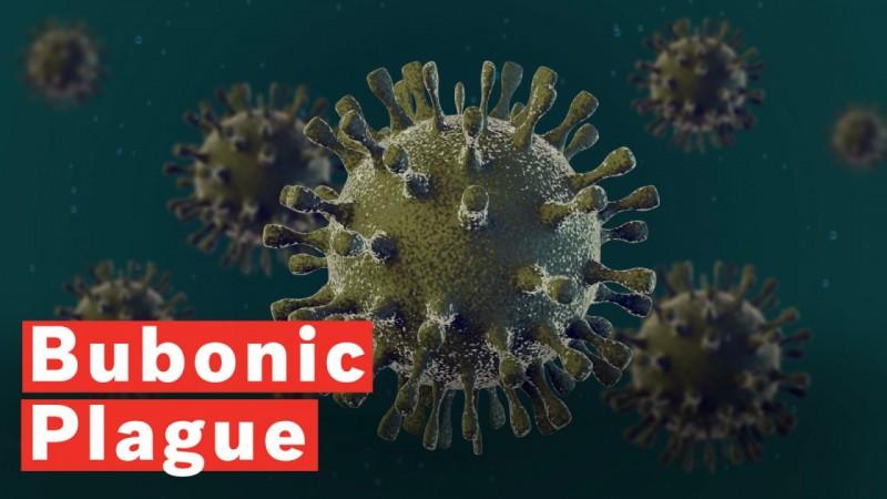 What Is Bubonic Plague?