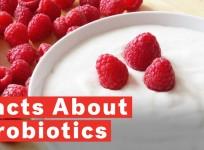 5 Things You Did Not Know About Probiotics
