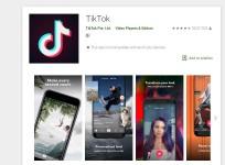 Tik Tok, ban, PUBG Mobile ban