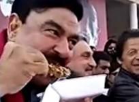 Sheikh Rashid