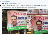 ani tweet