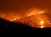 Bandipur forest fire