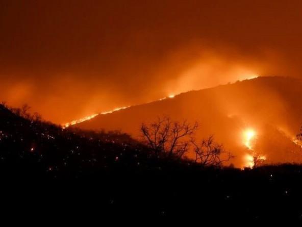 Bandipur forest fire Bandipur forest fire
