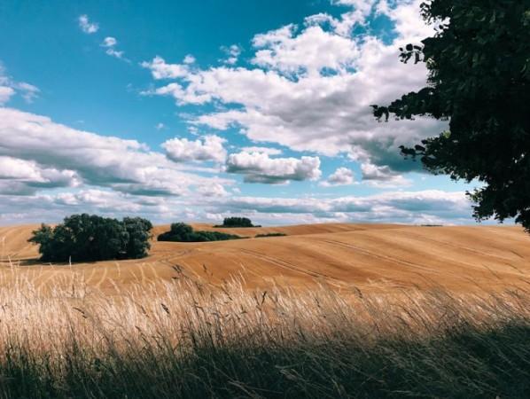 Shot by Robert Glaser (Germany) using Apple iPhone 7. Apple, Shot on iPhone