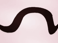 abhinandan varthman moustache