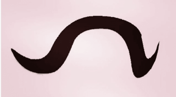 abhinandan varthman moustache