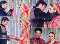 Arya-Sayyeshaa Wedding