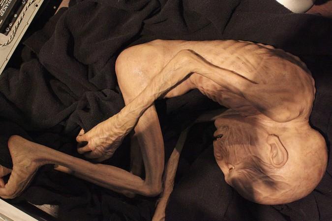 A model of Lord Voldemort used in the Harry Potter Films is displayed at the new Harry Potter Studio Tour at Warner Brothers Leavesden Studios. Voldemort