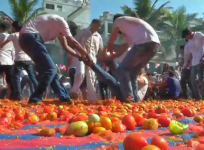 Gujarat- la tomatina