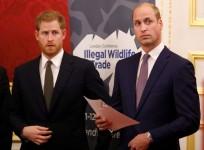 Prince William and Prince Harry