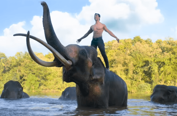 Junglee still Junglee still