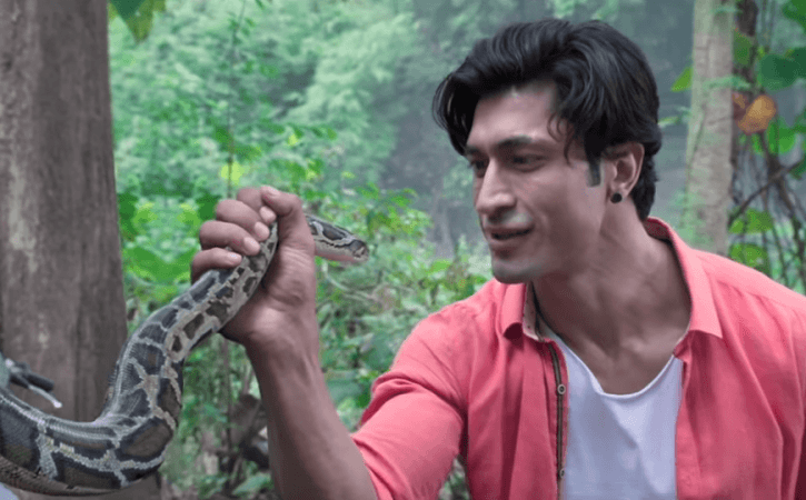 Junglee still Junglee still