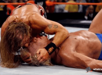 Ric Flair Shawn Michaels