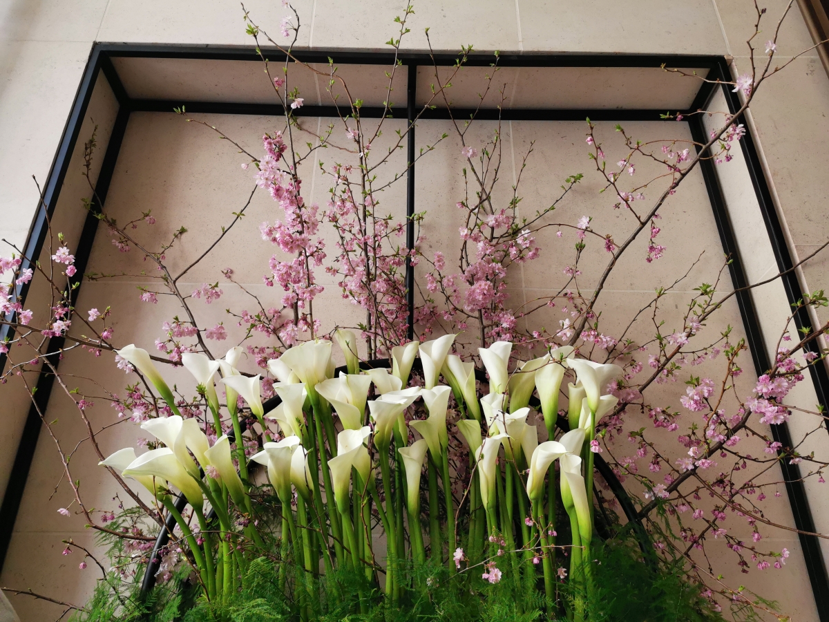 Huawei P30 Pro camera review Huawei P30 Pro camera review