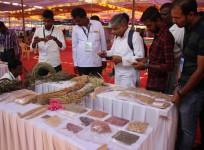 Desi Beej Mahotsav