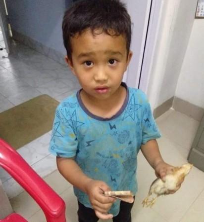 child tries to save chicken