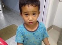 child tries to save chicken