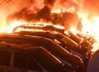 south korea forest fire 1