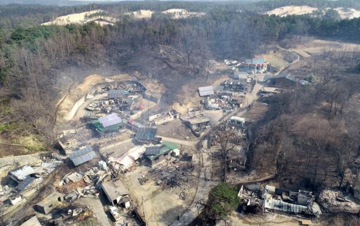 South Korea forest fire 2