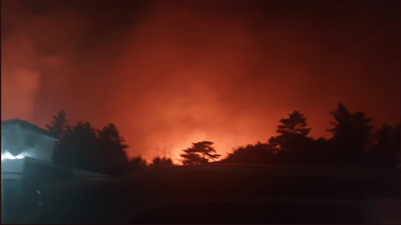 south korea forest fire 3