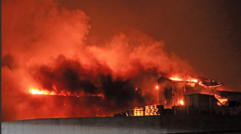 South Korean forest fire